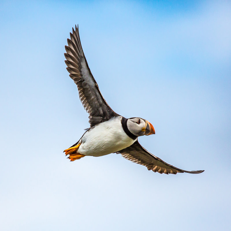 Ajankohtaisia asiakastarinoita, artikkeleita, ladattavia oppaita.